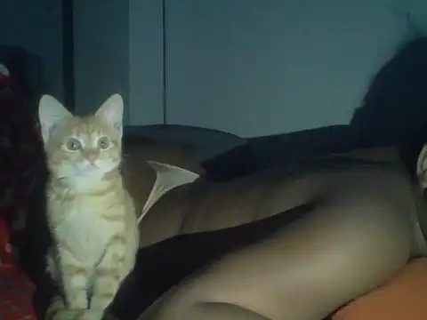 val5 online show from January 17, 3:00 am