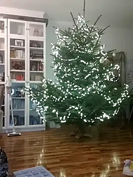 SexyDreamercouple89 online show from December 7, 6:48 pm