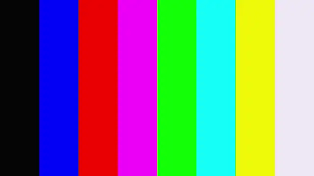EllenReeves online show from June 3, 2:33 pm