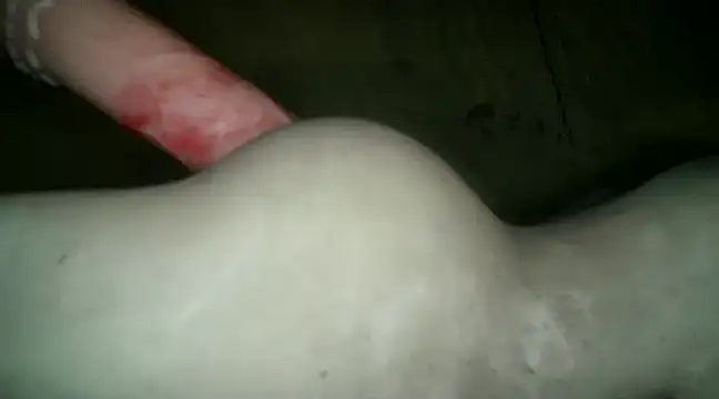 Snapshot of xxxlecram chatting on January 9, 12:09 pm xxxlecram online show from January 9, 12:09 pm