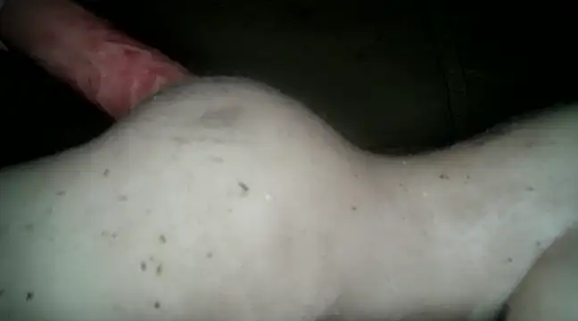 Snapshot of xxxlecram chatting on March 14, 6:07 pm xxxlecram online show from March 14, 6:07 pm