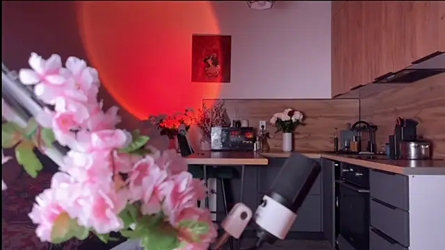 Snapshot of YourOblivion chatting on February 24, 8:18 pm YourOblivion online show from February 24, 8:18 pm