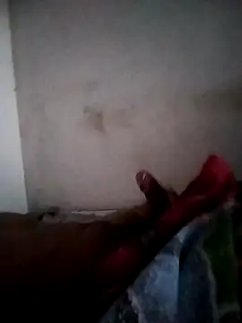 olvis m online show from March 17, 12:41 pm