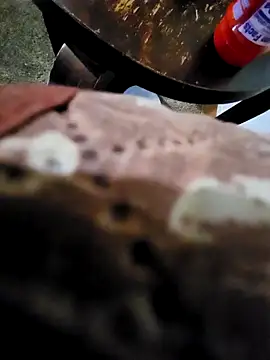 Snapshot of pajarol5co chatting on January 26, 12:16 am pajarol5co online show from January 26, 12:16 am