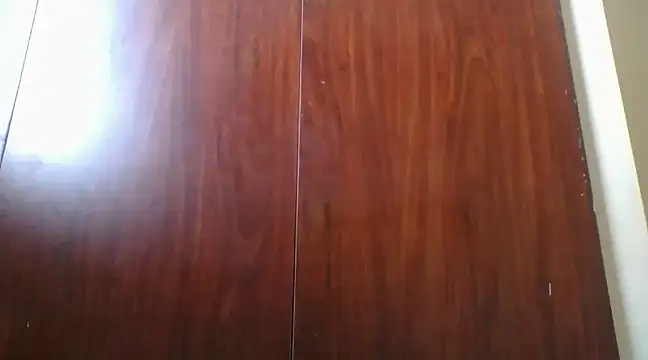 Snapshot of prettychic5 chatting on December 12, 12:33 pm prettychic5 online show from December 12, 12:33 pm