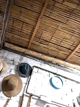 kvr27 online show from November 3, 11:00 am