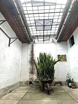 Snapshot of oliver_price1 chatting on September 26, 7:07 pm oliver price1 online show from September 26, 7:07 pm