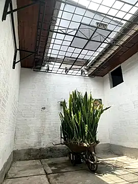 Snapshot of oliver_price1 chatting on October 6, 4:04 pm oliver price1 online show from October 6, 4:04 pm