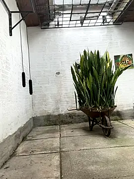 Snapshot of oliver_price1 chatting on October 21, 3:13 pm oliver price1 online show from October 21, 3:13 pm