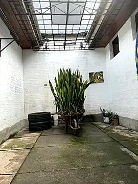 Snapshot of oliver_price1 chatting on October 27, 7:18 pm oliver price1 online show from October 27, 7:18 pm