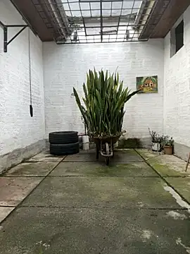 Snapshot of oliver_price1 chatting on November 12, 9:14 pm oliver price1 online show from November 12, 9:14 pm