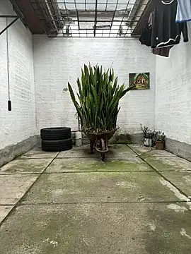 Snapshot of oliver_price1 chatting on November 13, 9:14 pm oliver price1 online show from November 13, 9:14 pm