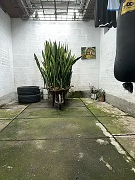 Snapshot of oliver_price1 chatting on November 16, 8:03 pm oliver price1 online show from November 16, 8:03 pm